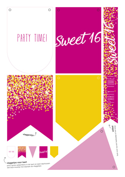 printable sweet 16 'sparkles' - vlaggetjes